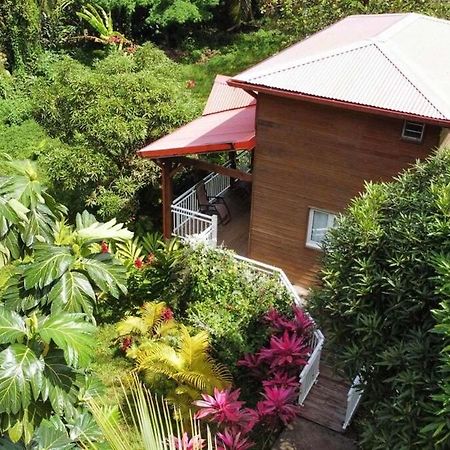 Mahogany Lodge - Oasis Cosy Riviere-Pilote Exterior photo