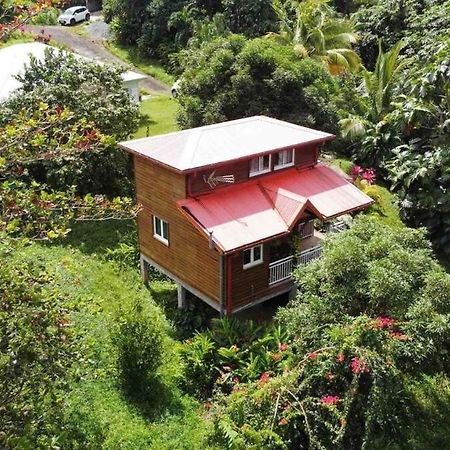 Mahogany Lodge - Oasis Cosy Riviere-Pilote Exterior photo
