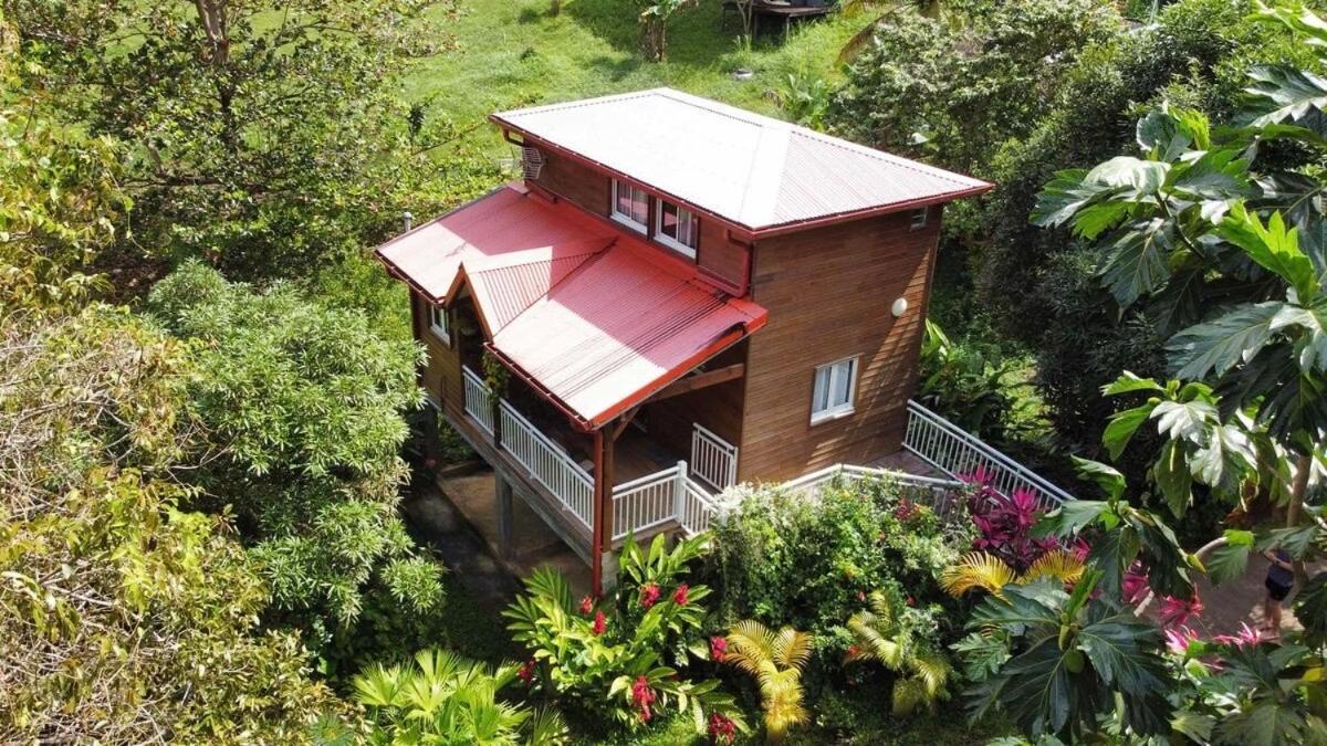 Mahogany Lodge - Oasis Cosy Riviere-Pilote Exterior photo