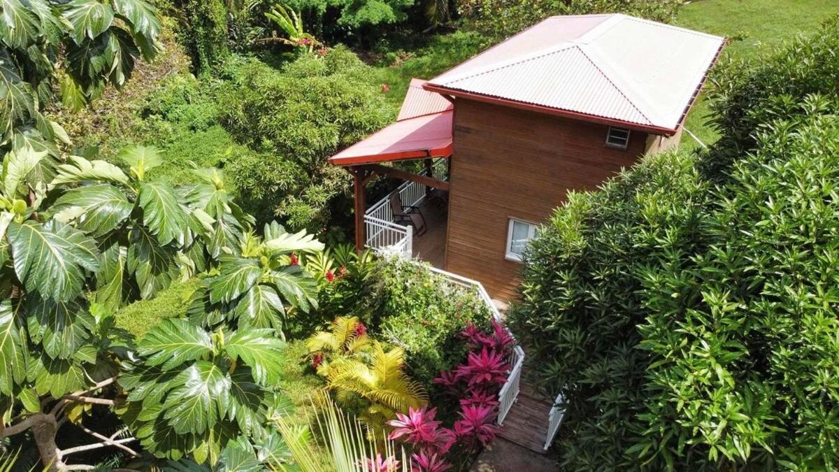 Mahogany Lodge - Oasis Cosy Riviere-Pilote Exterior photo